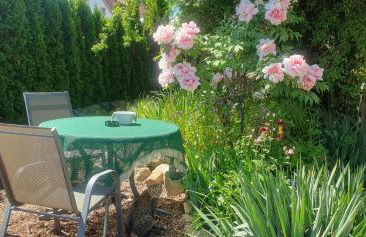 Ferienwohnung Kreisel direkt in Bad Kösen - Foto 18