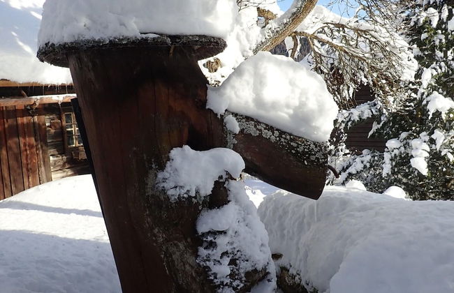 Farmhouse in Weisspriach Near Mountain Lakes - Foto 38