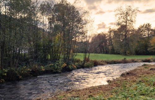 Le Vivaldi, Au cœur du massif vosgien avec terrain de pétanque - Foto 36