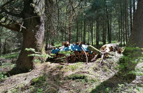 Ammervital - Apartments - Foto 33