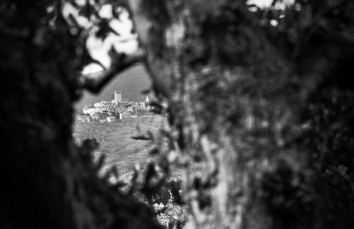 Orti di Capalbio - Foto 36