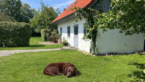 Kembser Kate - Ostholstein Kembser Kate - Meernähe - Foto 2