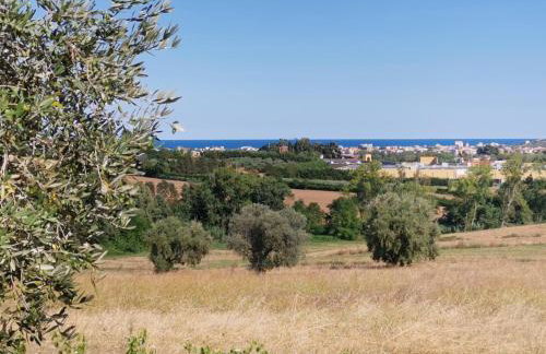 Glamping & Residence IL Villaggio del Re - Foto 49