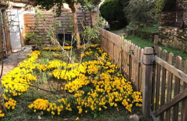 Presbytère de cassagnes - Foto 10