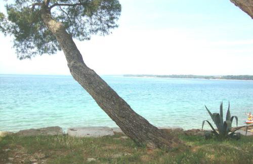 Apartment Mirta - Foto 33