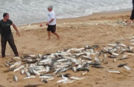 Dona Marta - Foto 77