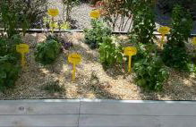 Le Petit Paradis Provençal - Foto 62