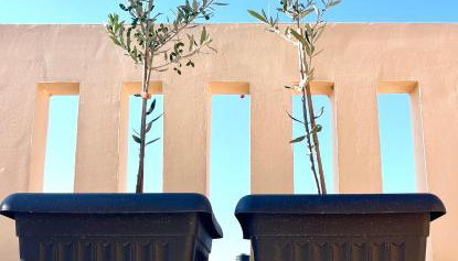 Two little olives Studio apartment - Foto 5, Garden