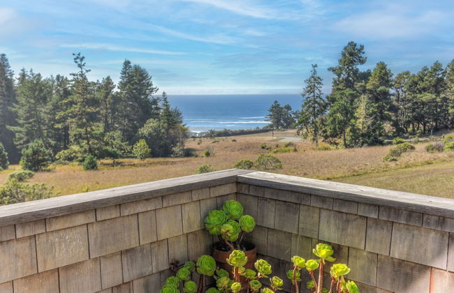 Seaview Cottage - Photo 12