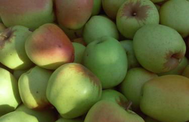 Casa do Feitor - Douro - Quinta da Cabrida - Foto 71