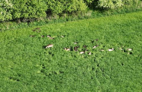 Das Blaue Haus - Foto 23