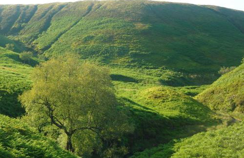 2 Bed in Carnforth oc-89724 - Photo 19