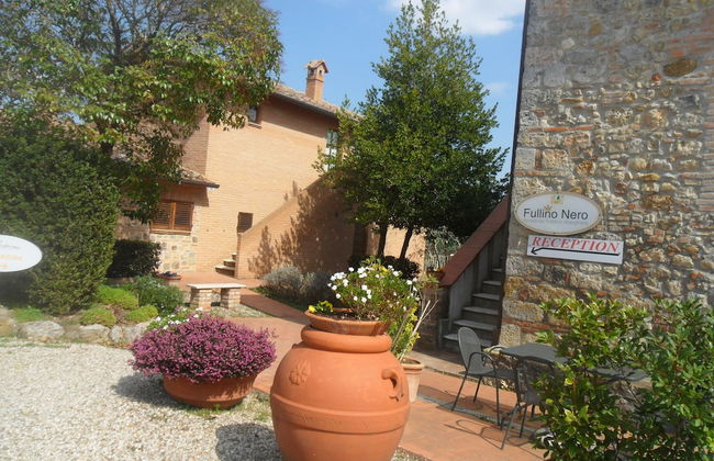 Fullino Nero - Foto 1