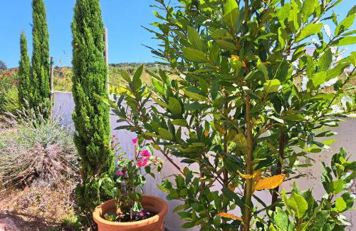 Holiday home Voga - Photo 38