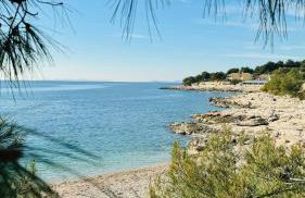 Apartman Kristina - Photo 63