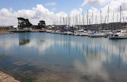 Au bord du ruisseau - Foto 22