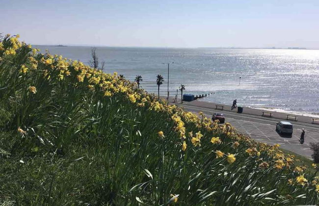 Entire Artistic Open-plan Top Floor Apartment - Foto 29