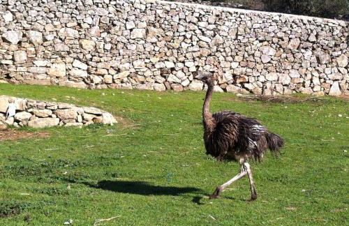 Risoturismo-Quinta das Pias - Holiday Farm - Foto 51