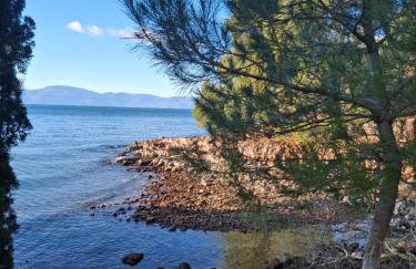 APARTMAN IVONA U PRIZEMLJU - Foto 36