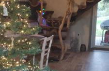 Gîte Ô Nature - Foto 19