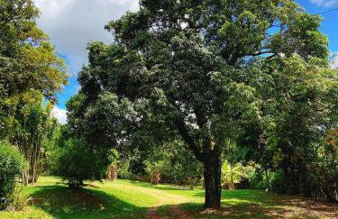 Sítio Pand'Oro - Foto 23