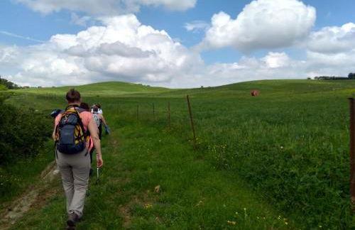 Agriturismo La Pietriccia - Foto 30