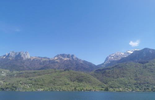 Charmant appartement à 1 minute du lac - Foto 28