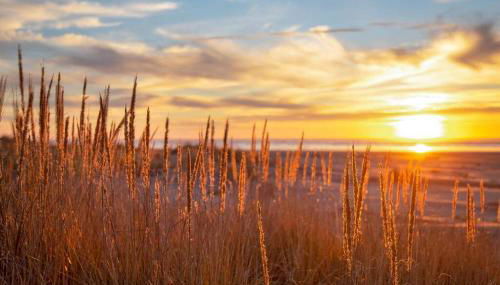 Kateys Getaway - Foto 5