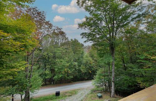 Cozy Stone Cabin Retreat Near Beech Ski Slopes - Foto 21