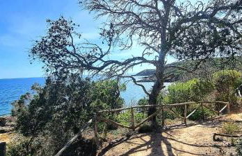 Villa Virginia Porto Pino - Foto 11