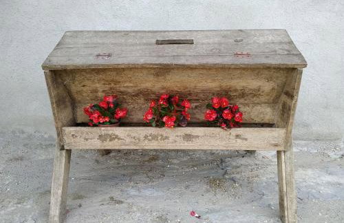 LES ROVILES - Foto 6