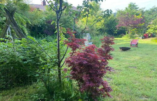 Waldzauber - Foto 22