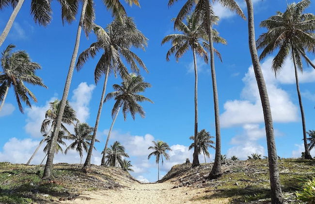 Temporada em Jacuípe - Photo 43