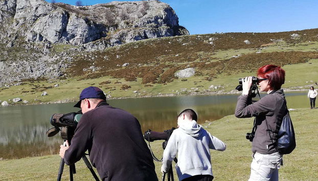 Durante l'esperienza di birdwatching