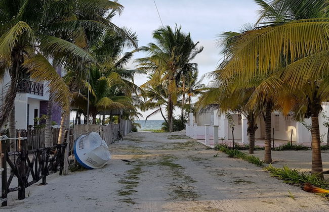 Casa de los peces - Foto 25