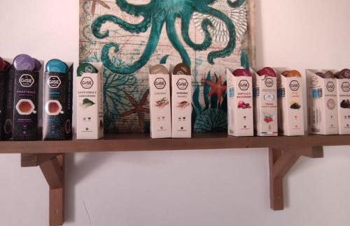 Ville Scelsa - Foto 15