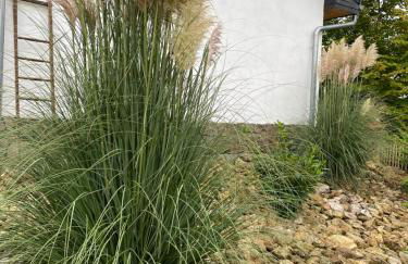 Ferienhaus Naturblick - Photo 25