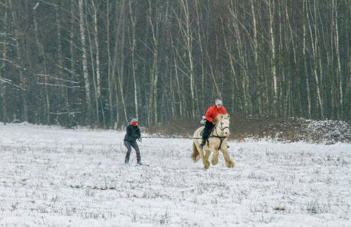 Kolorowe Wzgórze agroturystyka i konie - Foto 24