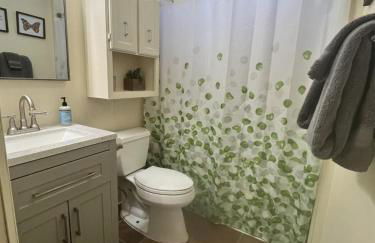 Northern Lights from Hot Tub, Denali National Park - Photo 23