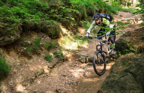 Complejo Turístico Las Cañadas Casas de Campo- Actividades Gratuitas Todos los Fines de Semana - Foto 48