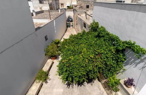 Corte Tredomus - Foto 6