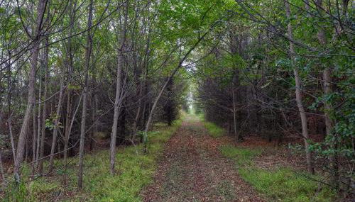 Blue Ribbon Homestead - Foto 4