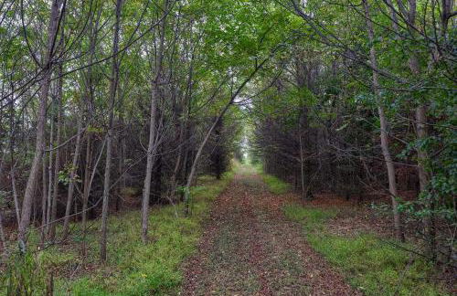 Blue Ribbon Homestead - Foto 4