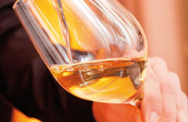 HerzogsPark Apartments mit/ohne Küche - Foto 25