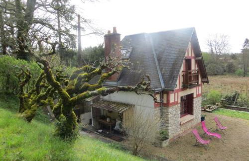 Traditional Countryside House Chateaux de la Loire - Foto 66