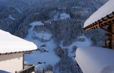 La ferme d'Hauteluce - Chalets - Foto 44