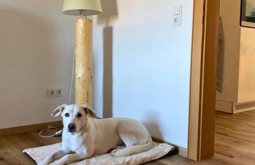 Ferienwohnung Schwarzhof- Hahnekräh am Bostalsee, helle 75 qm & hundefreundlich - Foto 55