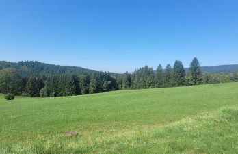 Anna Altreichenau - Foto 44