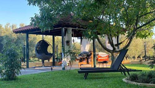 Villa Mihaila - Photo 3, Garden, Garden view