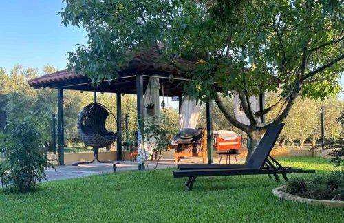 Villa Mihaila - Photo 3